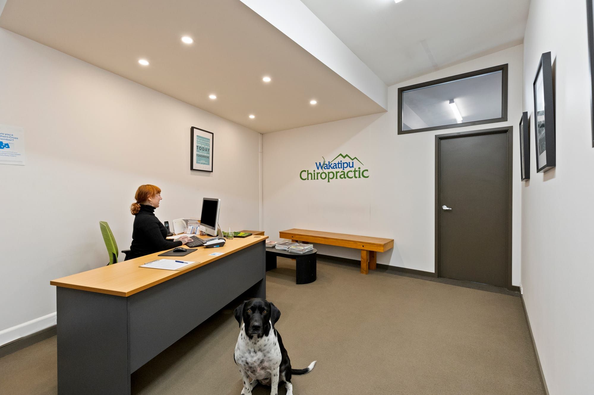 Reception, with the Wakatipu Chiropractic sign on the wall and the dog by the desk